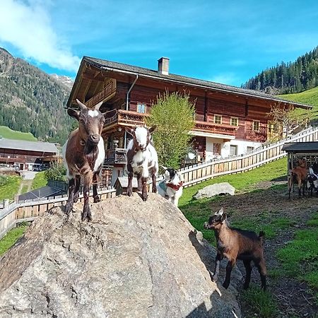 Ferienhaus Egger Innervillgraten Kültér fotó