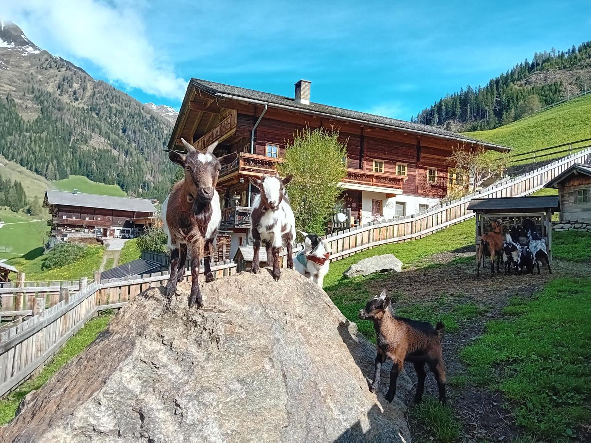 Ferienhaus Egger Innervillgraten Kültér fotó